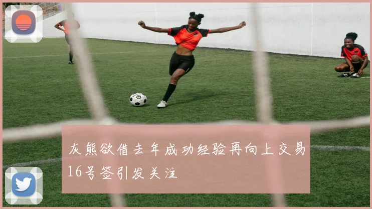 灰熊欲借去年成功经验再向上交易16号签引发关注