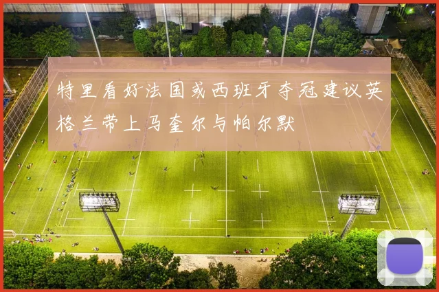 特里看好法国或西班牙夺冠建议英格兰带上马奎尔与帕尔默