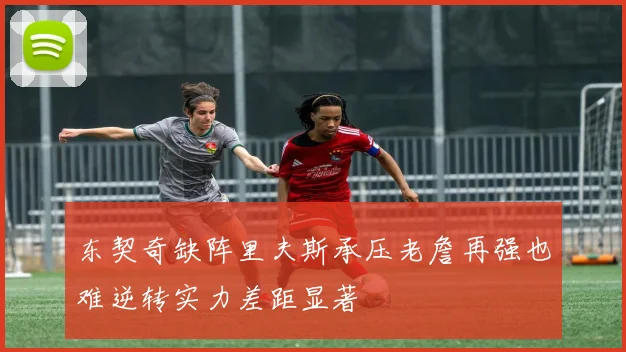 东契奇缺阵里夫斯承压老詹再强也难逆转实力差距显著